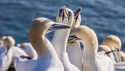 安吉高价上海医保提取2025的最新政策(2025年安吉上海医保怎么提取现金分享)