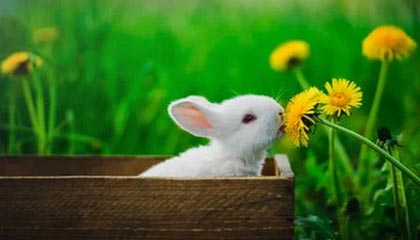 安吉高价上海医保提取2025的最新政策(2025年安吉上海医保怎么提取现金分享)